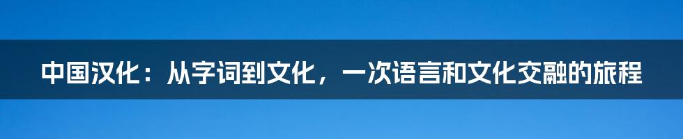 中国汉化：从字词到文化，一次语言和文化交融的旅程