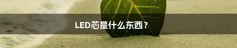 LED芯是什么东西？