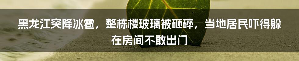 黑龙江突降冰雹，整栋楼玻璃被砸碎，当地居民吓得躲在房间不敢出门