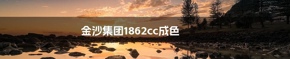 金沙集团1862cc成色