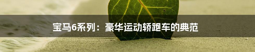 宝马6系列：豪华运动轿跑车的典范