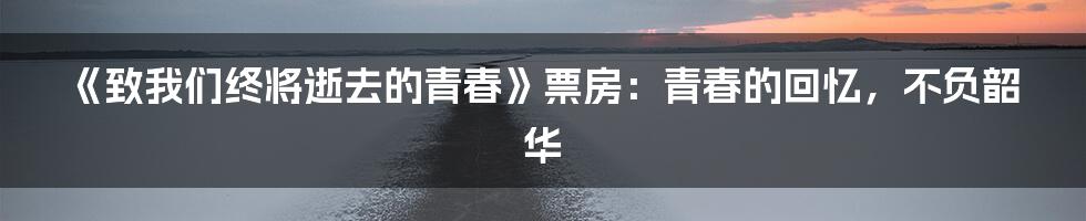 《致我们终将逝去的青春》票房：青春的回忆，不负韶华