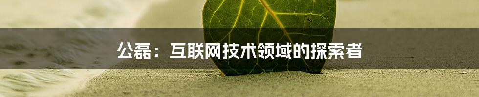 公磊：互联网技术领域的探索者