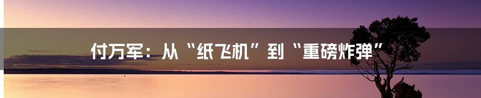 付万军：从“纸飞机”到“重磅炸弹”