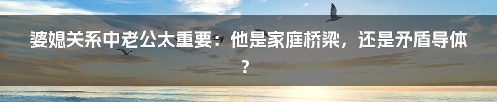 婆媳关系中老公太重要：他是家庭桥梁，还是矛盾导体？