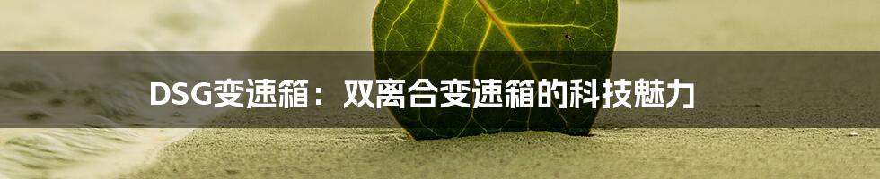 DSG变速箱：双离合变速箱的科技魅力