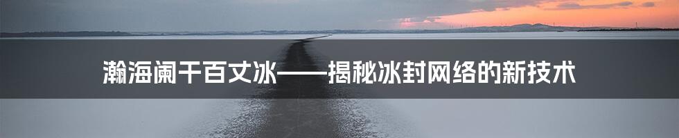 瀚海阑干百丈冰——揭秘冰封网络的新技术