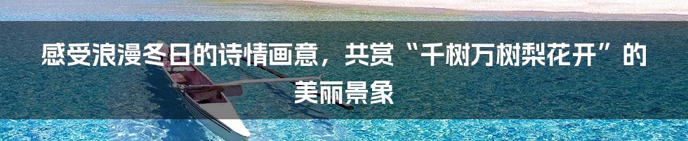 感受浪漫冬日的诗情画意，共赏“千树万树梨花开”的美丽景象