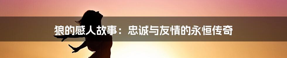 狼的感人故事：忠诚与友情的永恒传奇