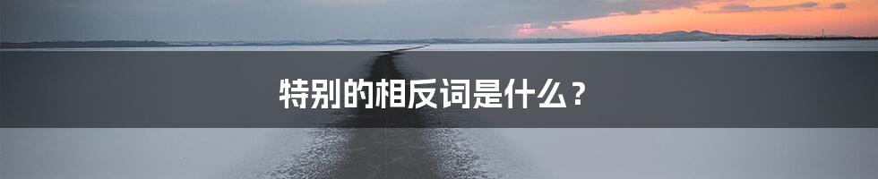 特别的相反词是什么？