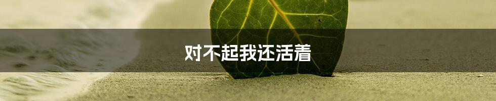 对不起我还活着