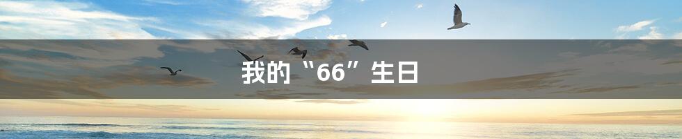 我的“66”生日