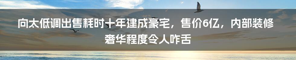 向太低调出售耗时十年建成豪宅，售价6亿，内部装修奢华程度令人咋舌