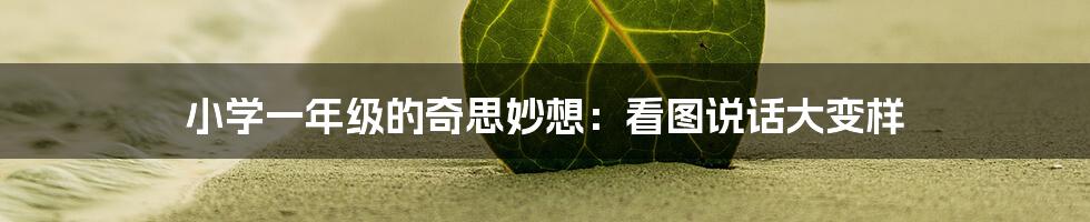 小学一年级的奇思妙想：看图说话大变样