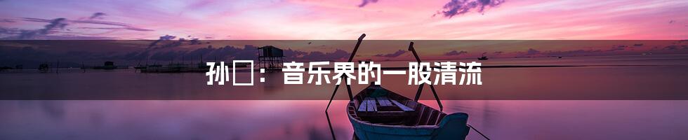 孙玥：音乐界的一股清流