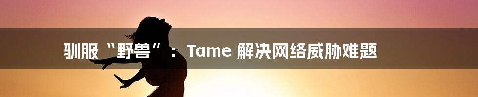 驯服“野兽”：Tame 解决网络威胁难题