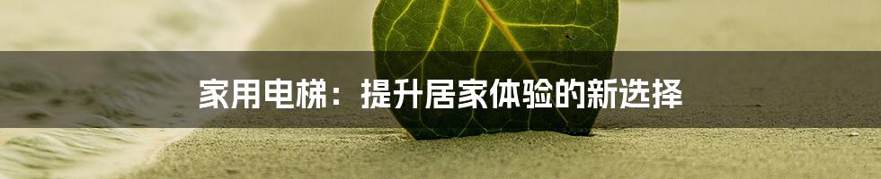 家用电梯：提升居家体验的新选择