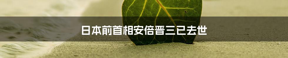 日本前首相安倍晋三已去世