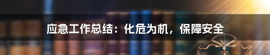 应急工作总结：化危为机，保障安全