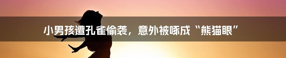 小男孩遭孔雀偷袭，意外被啄成“熊猫眼”