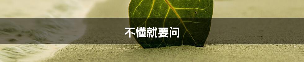 不懂就要问