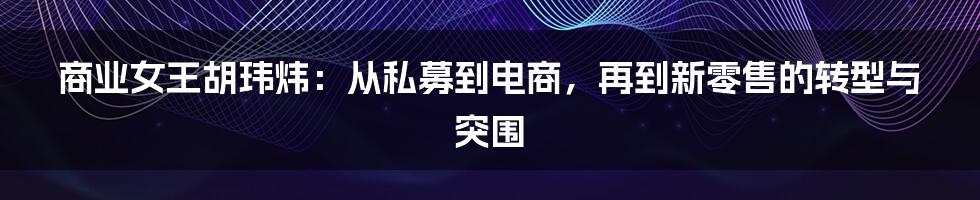 商业女王胡玮炜：从私募到电商，再到新零售的转型与突围