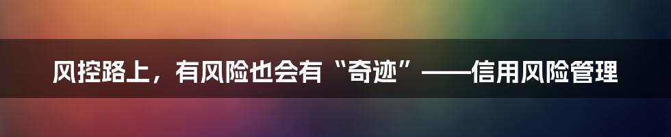 风控路上，有风险也会有“奇迹”——信用风险管理