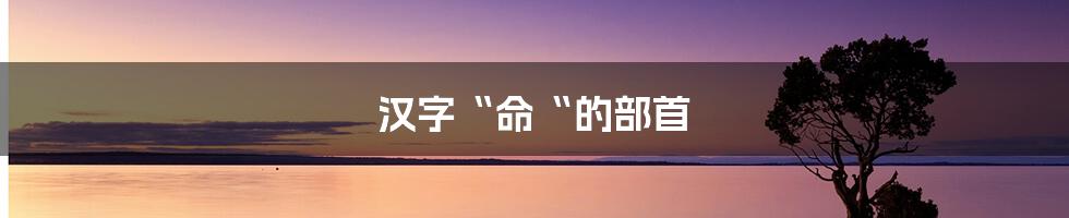 汉字“命“的部首