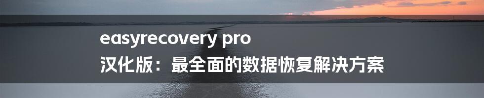 easyrecovery pro 汉化版：最全面的数据恢复解决方案