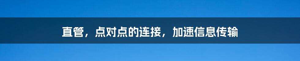 直管，点对点的连接，加速信息传输