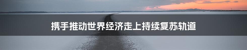 携手推动世界经济走上持续复苏轨道