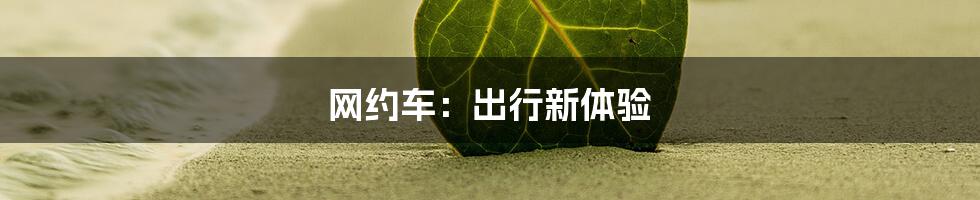 网约车：出行新体验