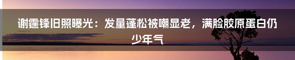 谢霆锋旧照曝光：发量蓬松被嘲显老，满脸胶原蛋白仍少年气