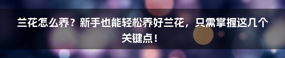 兰花怎么养？新手也能轻松养好兰花，只需掌握这几个关键点！