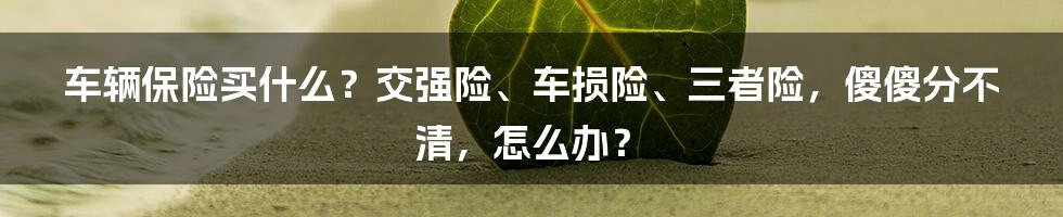 车辆保险买什么？交强险、车损险、三者险，傻傻分不清，怎么办？