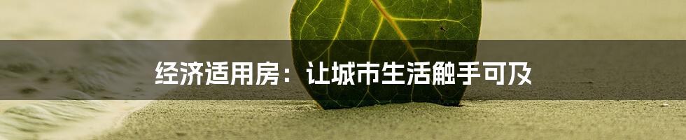 经济适用房：让城市生活触手可及