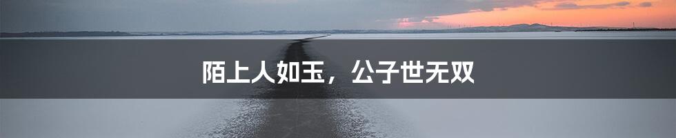 陌上人如玉，公子世无双