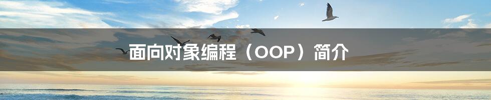 面向对象编程（OOP）简介