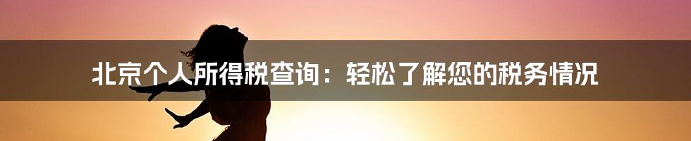 北京个人所得税查询：轻松了解您的税务情况