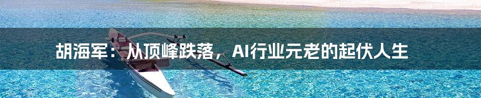 胡海军：从顶峰跌落，AI行业元老的起伏人生