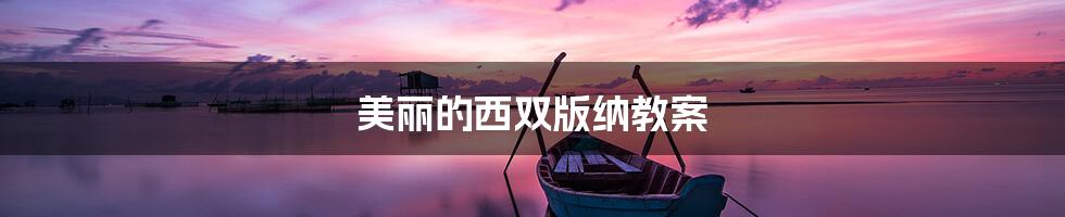 美丽的西双版纳教案