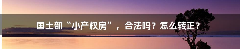 国土部“小产权房”，合法吗？怎么转正？