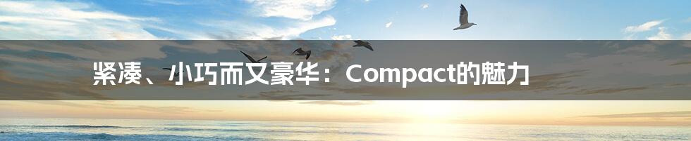 紧凑、小巧而又豪华：Compact的魅力