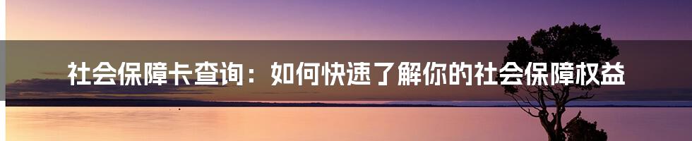 社会保障卡查询：如何快速了解你的社会保障权益