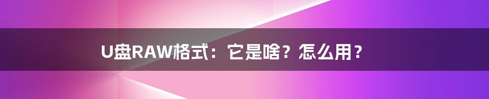 U盘RAW格式：它是啥？怎么用？