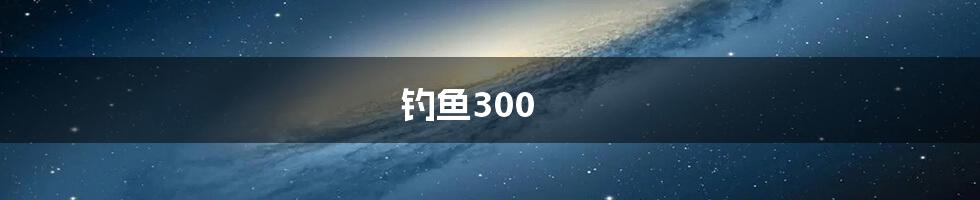 钓鱼300