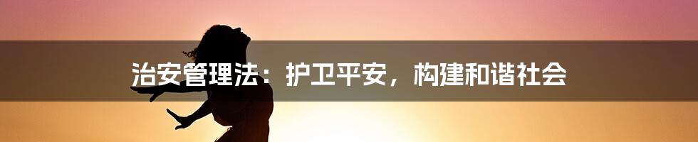 治安管理法：护卫平安，构建和谐社会