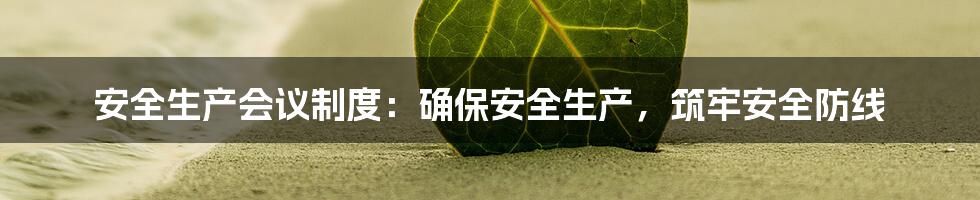 安全生产会议制度：确保安全生产，筑牢安全防线