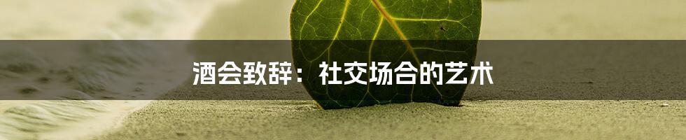 酒会致辞：社交场合的艺术