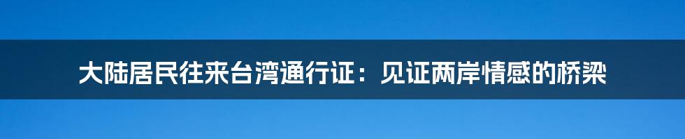 大陆居民往来台湾通行证：见证两岸情感的桥梁